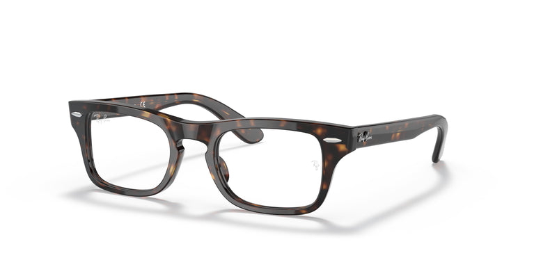 Ray-Ban Junior RY9083V JUNIOR BURBANK 3887 43