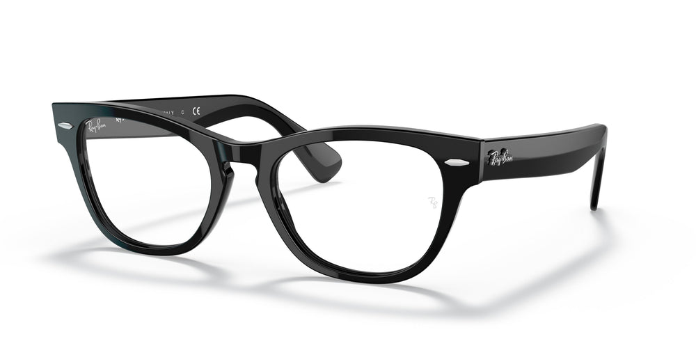 Ray-Ban RX2201V LARAMIE 2000 54