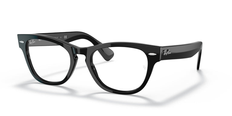 Ray-Ban RX2201V LARAMIE 2000 51