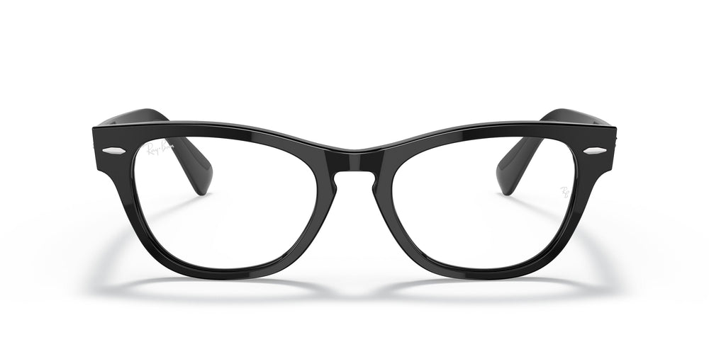 Ray-Ban RX2201V LARAMIE 2000 54