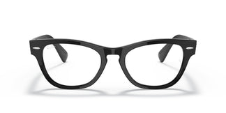 Ray-Ban RX2201V LARAMIE 2000 54