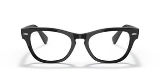 Ray-Ban RX2201V LARAMIE 2000 51