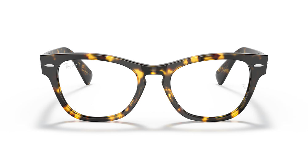 Ray-Ban RX2201V LARAMIE 8116 51