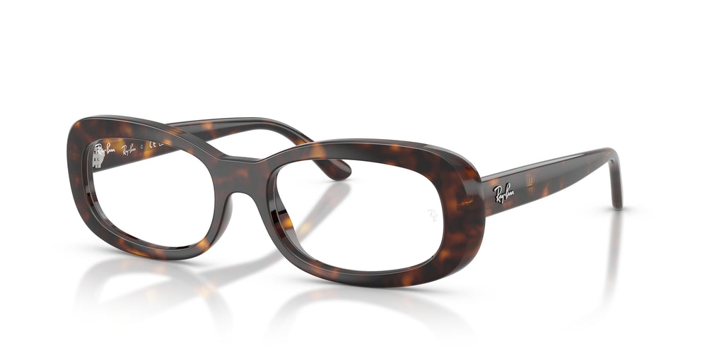 Ray-Ban RX2221V 2012 53