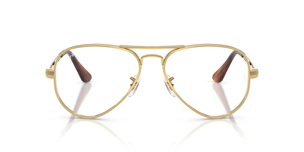 Ray-Ban RX3925V AVIATOR MAX 2500 58