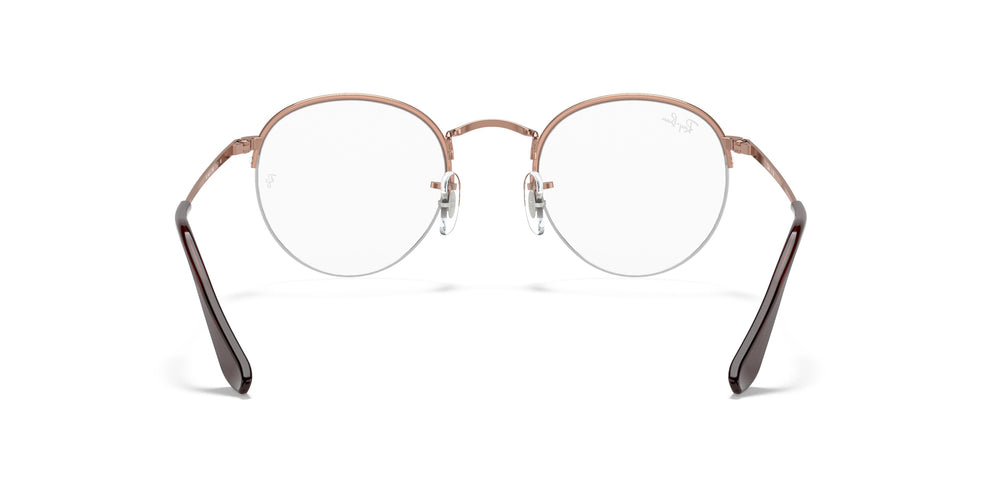 Ray-Ban RX3947V ROUND GAZE 2943 51