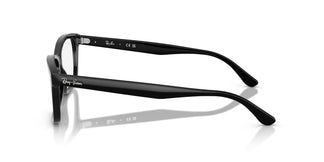 Ray-Ban RX5428  2000 53
