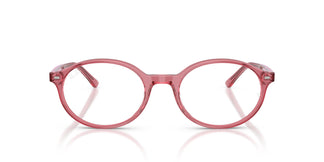 Ray-Ban RX5429 GERMAN 8440 53