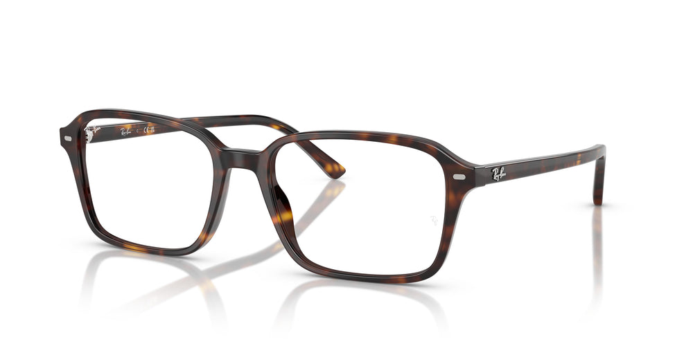 Ray-Ban RX5431 RAIMOND 2012 56