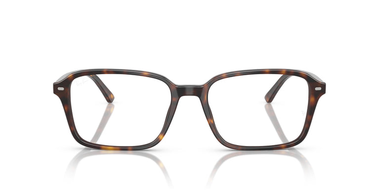 Ray-Ban RX5431 RAIMOND 2012 54