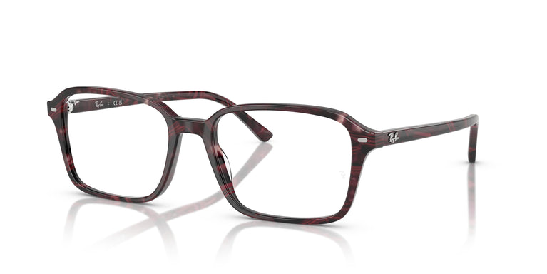 Ray-Ban RX5431 RAIMOND 8393 54