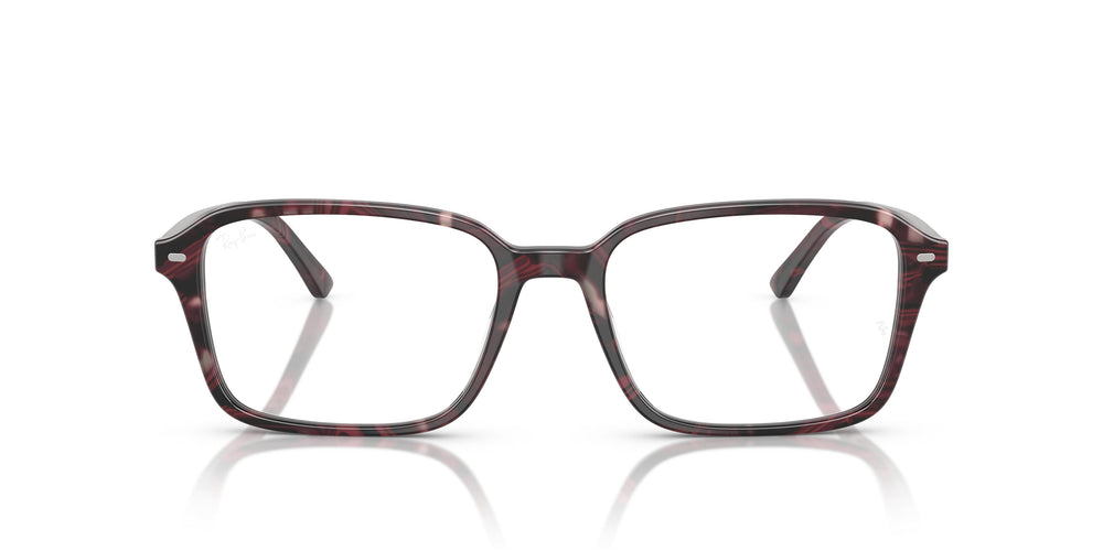 Ray-Ban RX5431 RAIMOND 8393 56