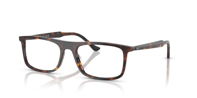 Ray-Ban RX5440 2012 55