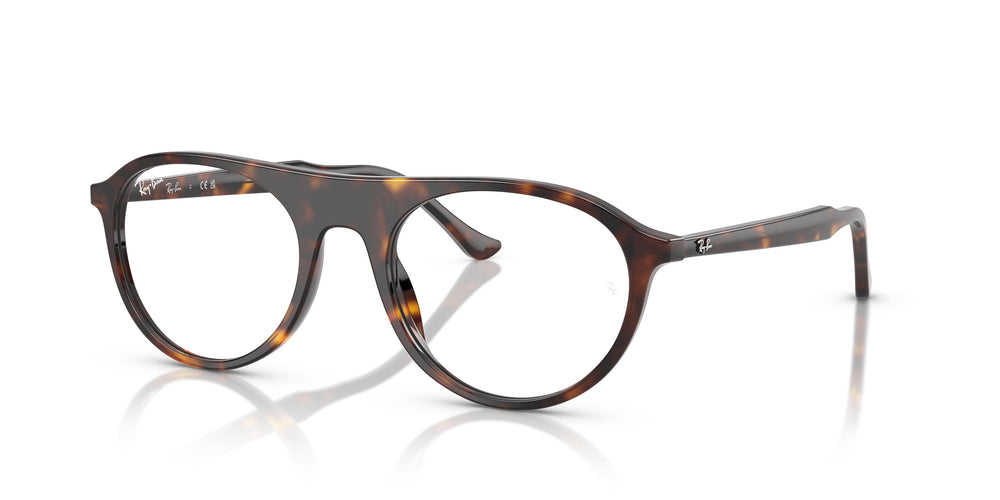Ray-Ban RX5441 2012 51