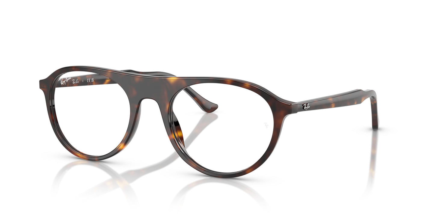 Ray-Ban RX5441 2012 53