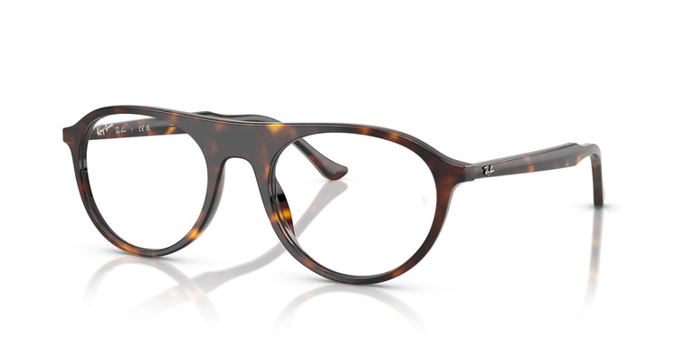 Ray-Ban RX5441 2012 53