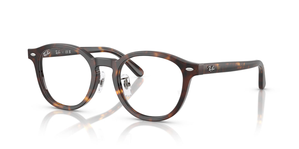 Ray-Ban RX5443D 2012 49