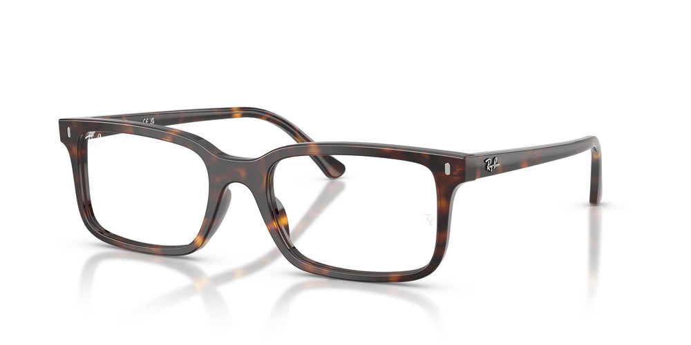 Ray-Ban RX5445 2012 52