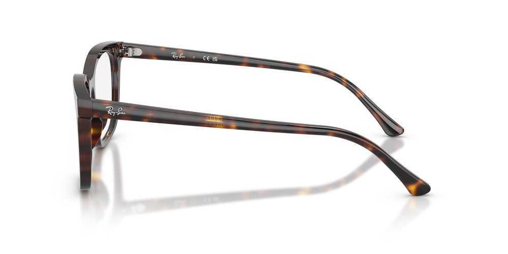 Ray-Ban RX5446 2012 51