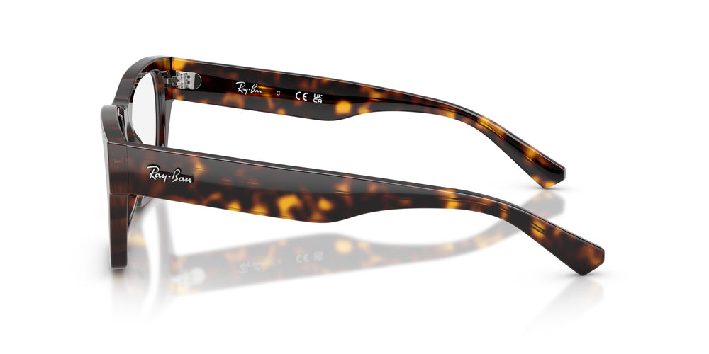 Ray-Ban RX5448 2012 53