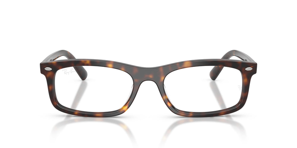 Ray-Ban RX5450 2012 54