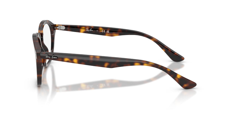 Ray-Ban RX5451 2012 52