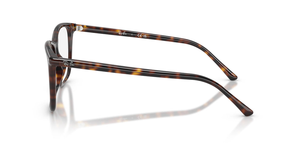 Ray-Ban  RX5455 2012 54