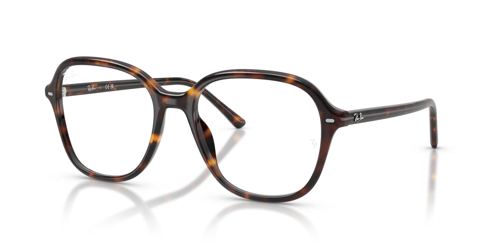 Ray-Ban  RX5456 2012 56