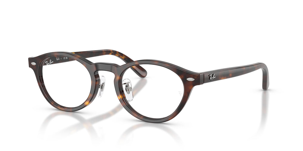 Ray-Ban  RX5457D 2012 48