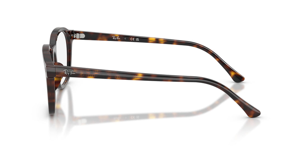 Ray-Ban RX5460 2012 52