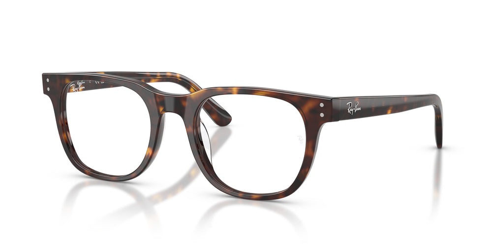 Ray-Ban  RX5461D 2012 51