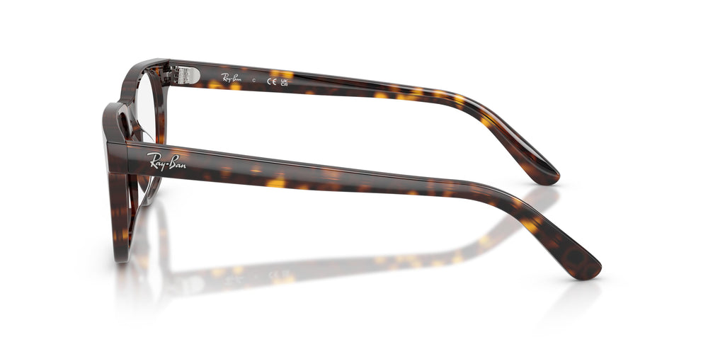 Ray-Ban  RX5461D 2012 51