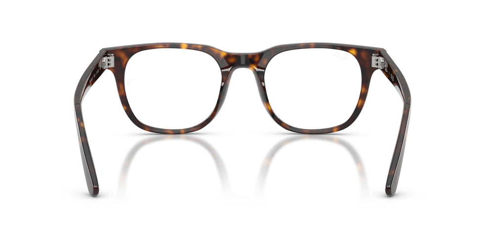 Ray-Ban  RX5461D 2012 51