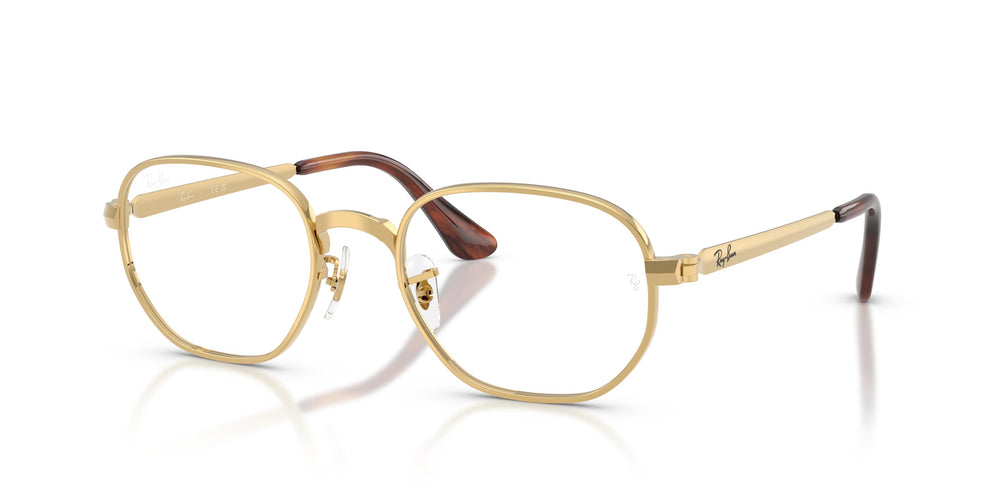 Ray-Ban  RX6559 HEXAGONAL MAX 2500 52