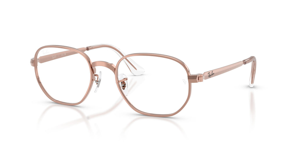 Ray-Ban RX6559 HEXAGONAL MAX 2943 54