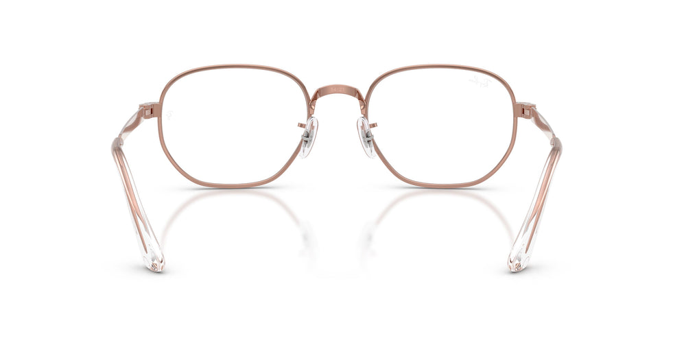 Ray-Ban  RX6559 HEXAGONAL MAX 2943 52