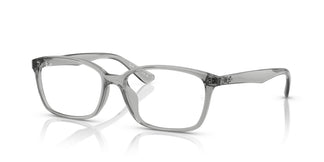 Ray-Ban RX7094D  8012 55