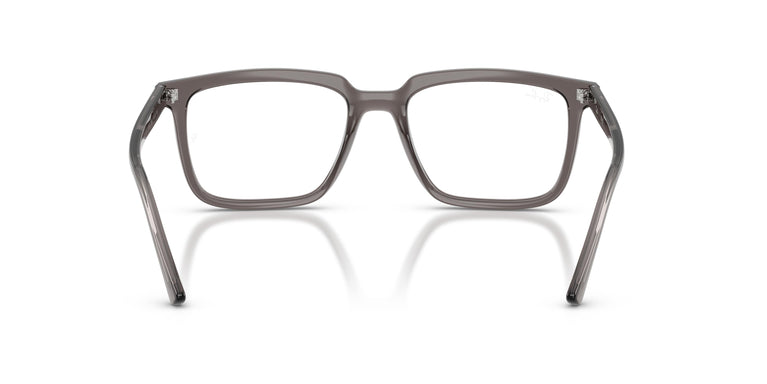 Ray-Ban RX7239 ALAIN 8506 54