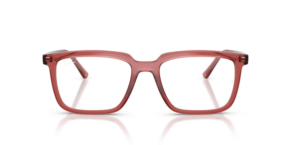 Ray-Ban RX7239 ALAIN 8510 54