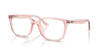 Ray-Ban RX7248D  8410 55