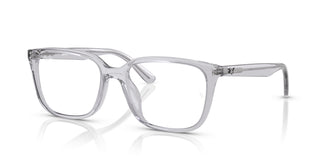 Ray-Ban RX7248D  8411 55