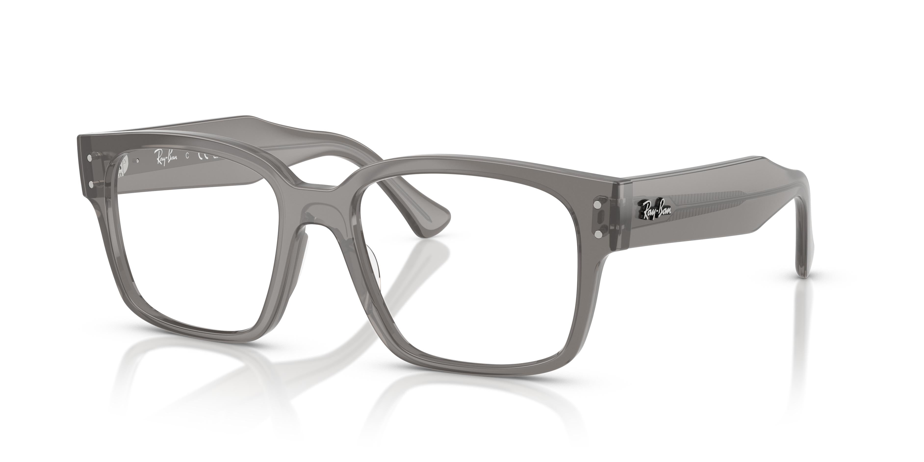 Ray-Ban RX7256 LAURENE 8431 51