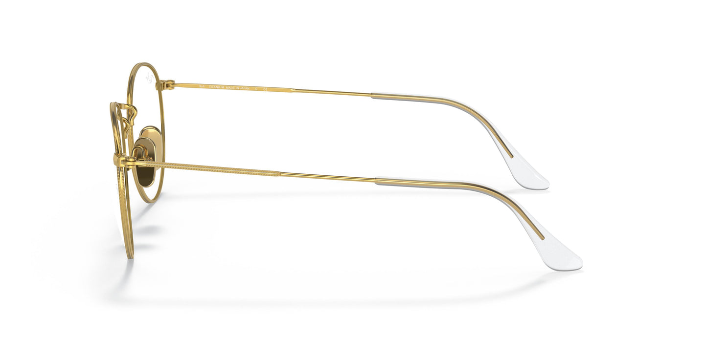 Ray-Ban RX8247V ROUND 1225 47