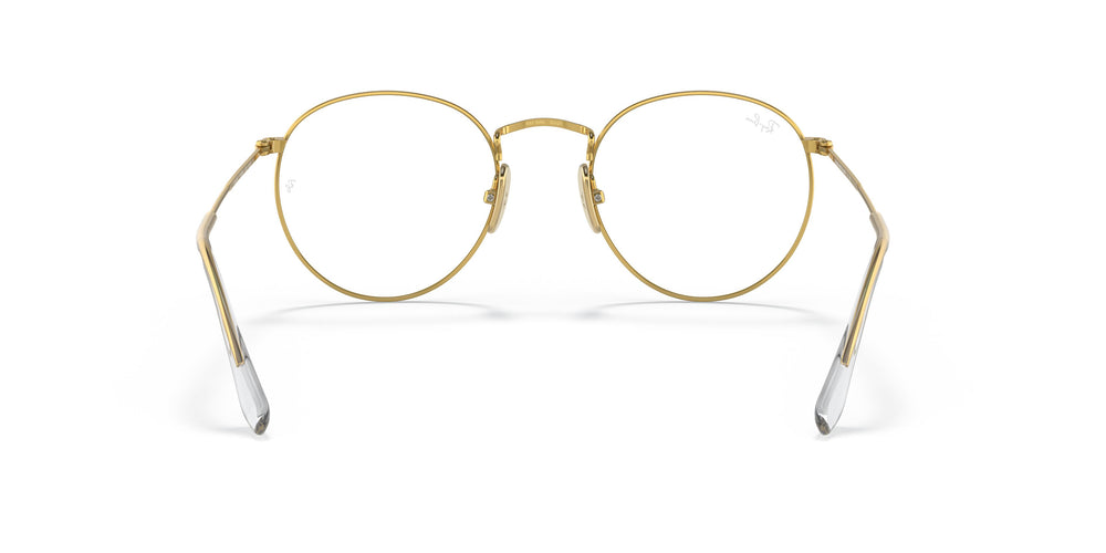 Ray-Ban RX8247V ROUND 1225 47