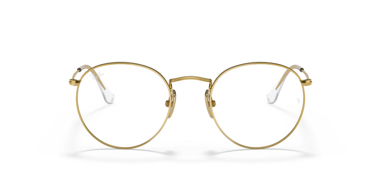 Ray-Ban RX8247V ROUND 1225 47