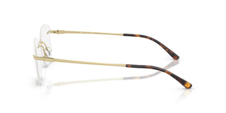 Ray-Ban RX8783D 1251 52