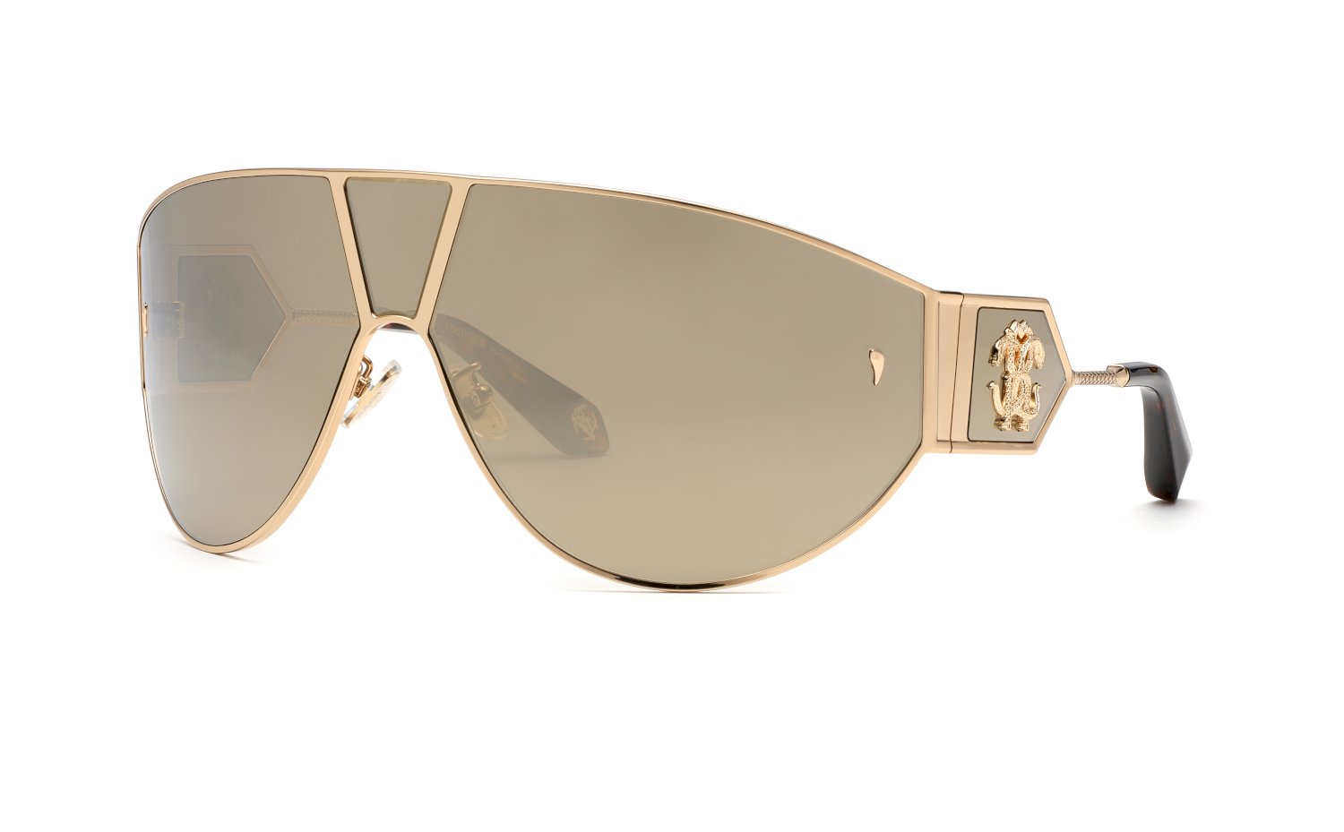 Roberto Cavalli SRC093 300G 76