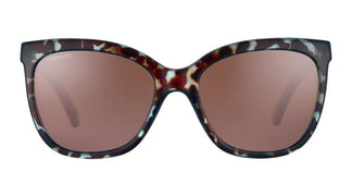 Serengeti AGATA shiny blue tortoise  8777 57