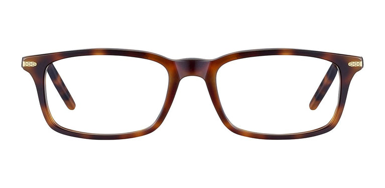 Serengeti CLINT SV615002 55