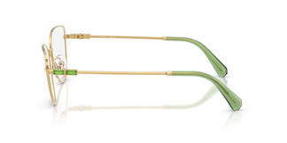 Swarovski SK1007 4017 55